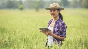 Petani Milenial Raup Cuan Rp10 Juta? Begini Penjelasannya