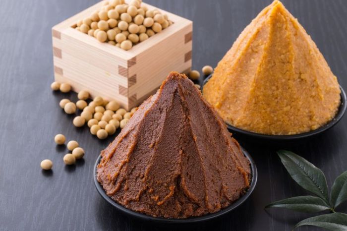 Ilmuwan Kirim Pasta Kedelai untuk Miso ke Angkasa Luar, Begini Rasanya