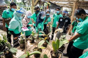 Program Inkubasi Bisnis yang Layak Diikuti