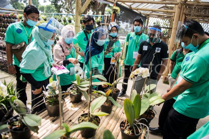 Program Inkubasi Bisnis yang Layak Diikuti untuk Sukses